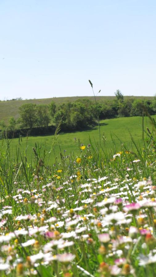 Nature'S Pace Holidays Montmaur  Kültér fotó